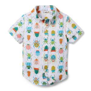 The Poplin Shirt