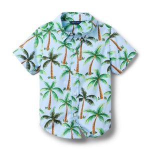 The Poplin Shirt