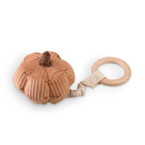 Pumpkin Rattle