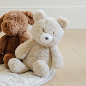 Stuffed Animal Bear