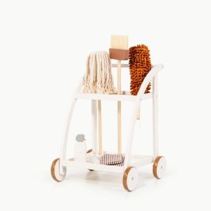 Cleaning Cart