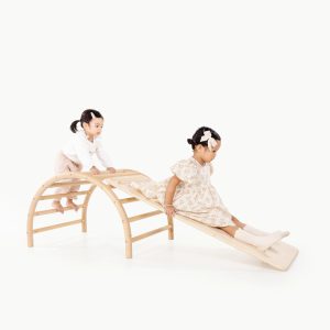 Play Gym Slide