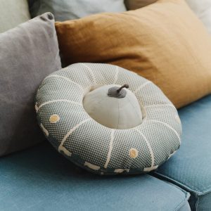 Cushion Interactive UFO
