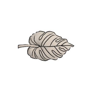 Cushion Leaf