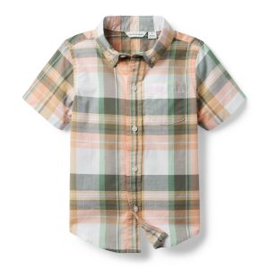 The Plaid Shirt